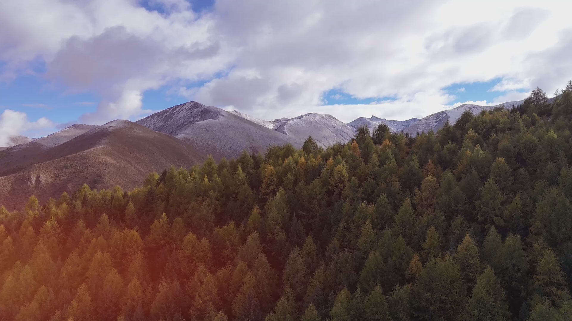 ZEALWOOD lifestyle mountain vista